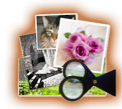 blocks_image